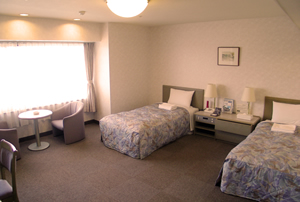 Handicapped Accesible Room